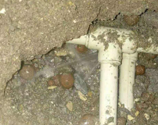 枣庄市卫生间防水的报价