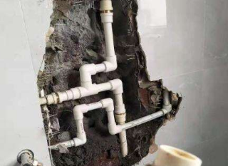 枣庄市卫生间测漏水价格多少
