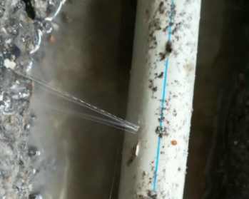 枣庄市卫生间测漏水多少钱