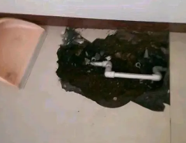 枣庄市卫生间测漏水多少钱