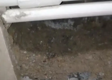 枣庄市卫生间测漏水多少钱